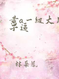 黄a一级大片奶子逼