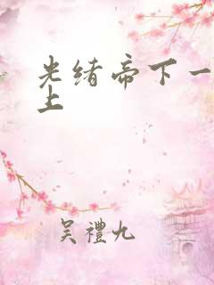 光绪帝下一位皇上