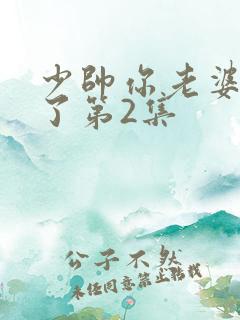 少帅你老婆又跑了第2集