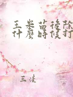 玉米苗后除草剂什么时候打效果最好