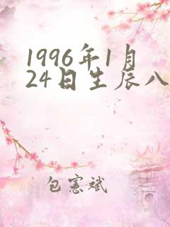 1996年1月24日生辰八字