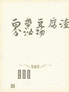 白带豆腐渣褐色分泌物