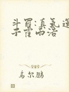 斗罗:真气运之子霍雨浩