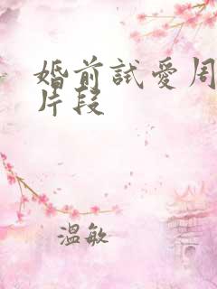 婚前试爱周秀娜片段