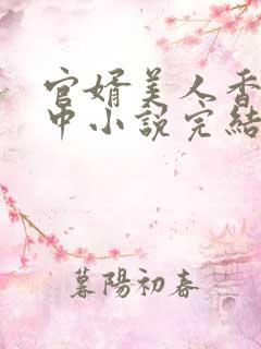 官婿美人香刘志中小说完结了吗