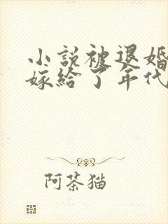 小说被退婚后我嫁给了年代文大佬