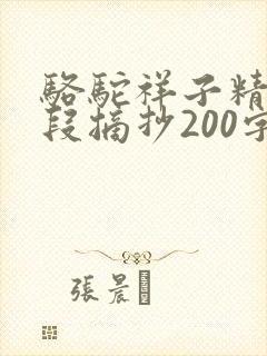 骆驼祥子精彩片段摘抄200字