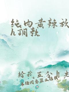 纯肉黄辣放荡高h调教