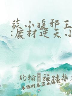 苏小暖邪王追妻:废材逆天小姐
