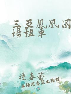 三亚凤凰国际机场租车
