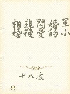 相亲闪婚军婚先婚后爱的小说