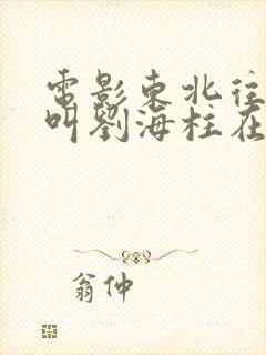 电影东北往事我叫刘海柱在线观看