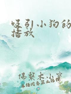 吸引小狗的叫声播放