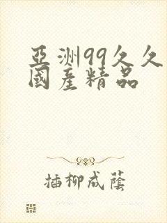 亚洲99久久久国产精品