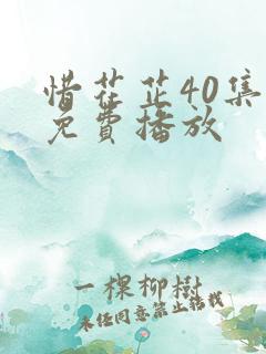惜花芷40集全免费播放