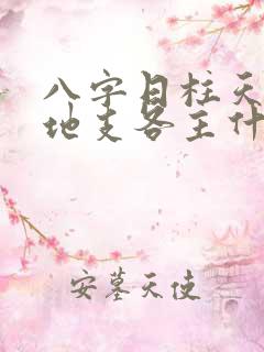 八字日柱天干和地支各主什么事