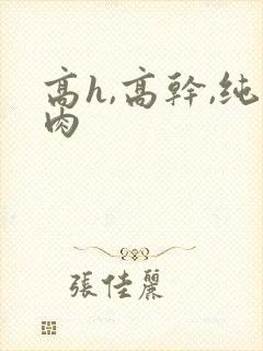 高h,高干,纯肉