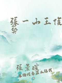 张一山王俊凯综艺