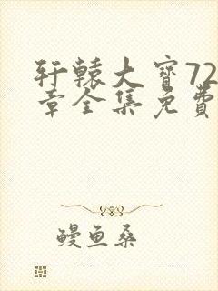 轩辕大宝720章全集免费阅读
