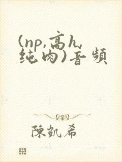 (np,高h,纯肉)音频