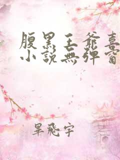 腹黑王爷喜当爹小说无弹窗