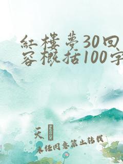 红楼梦30回内容概括100字