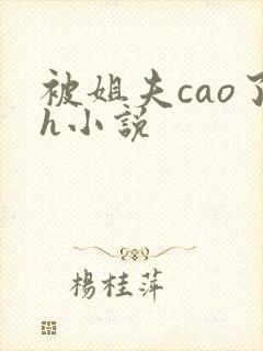 被姐夫cao了h小说