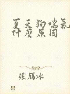 夏天狗喘气急促什么原因