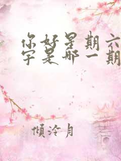 你好星期六王安宇是哪一期