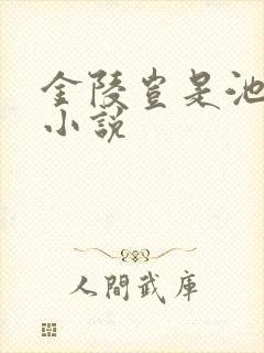 金陵岂是池中物小说
