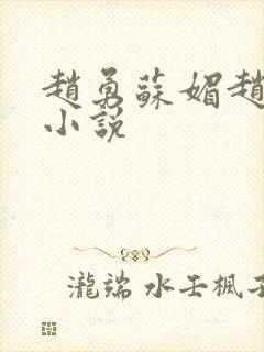 赵勇苏媚赵大宝小说