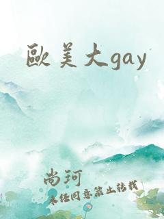 欧美大gay