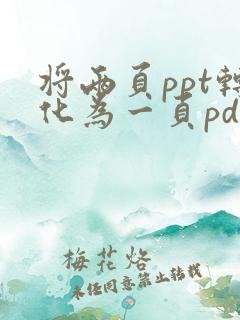 将两页ppt转化为一页pdf