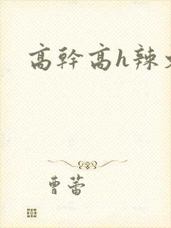 高干高h辣文