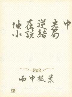 他在逆光中告白小说结局