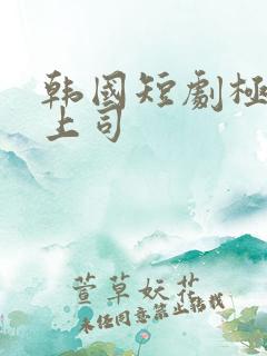 韩国短剧极品女上司