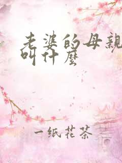 老婆的母亲叫我叫什么