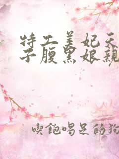 特工美妃天才儿子腹黑娘亲