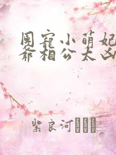 团宠小萌妃:王爷相公太凶猛