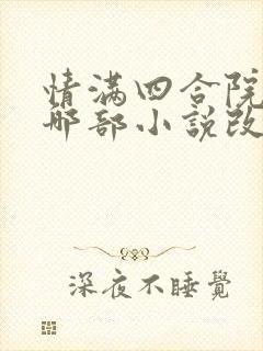 情满四合院根据哪部小说改编