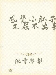 感觉小肚子有尿 又尿不出来