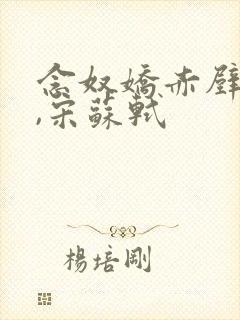 念奴娇赤壁怀古,宋苏轼