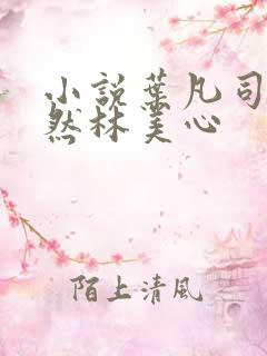 小说叶凡司空嫣然林美心