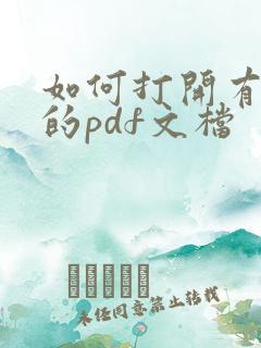 如何打开有密码的pdf文档