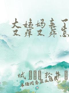 大姨妈来了阴部又痒又疼怎么回事