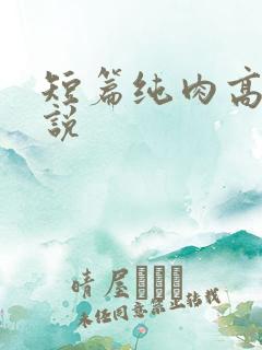 短篇纯肉高h小说