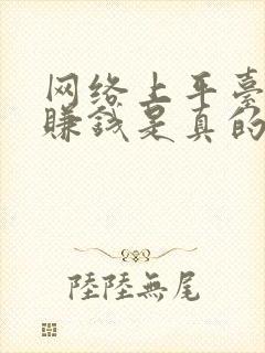 网络上平台聊天赚钱是真的吗