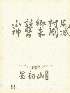 小说乡村风流小神医未删减版