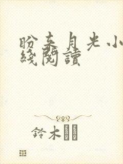 盼来月光小说在线阅读
