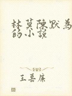 林莫陈默为主角的小说